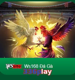 336play